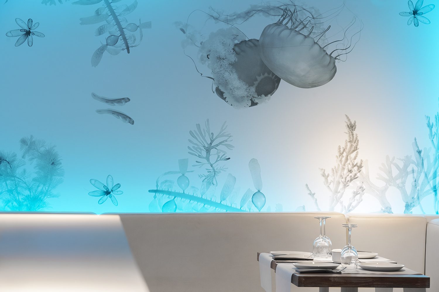 Techos tensados restaurante
